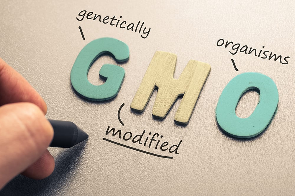 GMO vs Non GMO 3